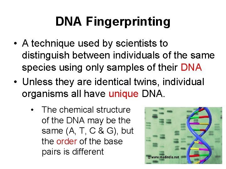 DNA Fingerprinting • A technique used by scientists to distinguish between individuals of the