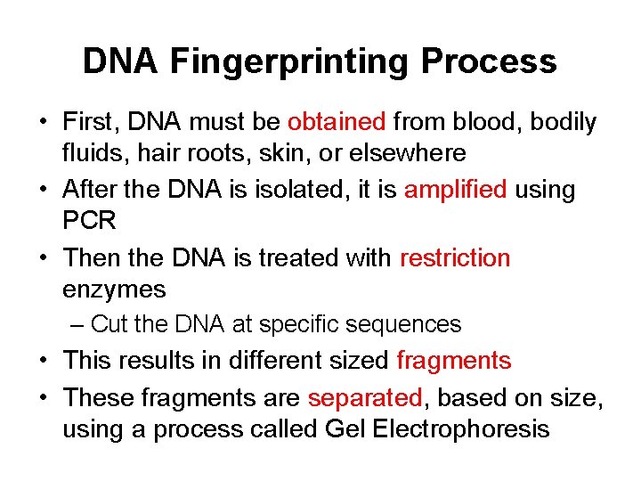 DNA Fingerprinting Process • First, DNA must be obtained from blood, bodily fluids, hair