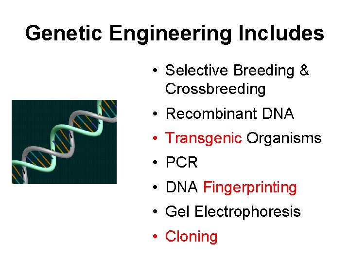 Genetic Engineering Includes • Selective Breeding & Crossbreeding • Recombinant DNA • Transgenic Organisms