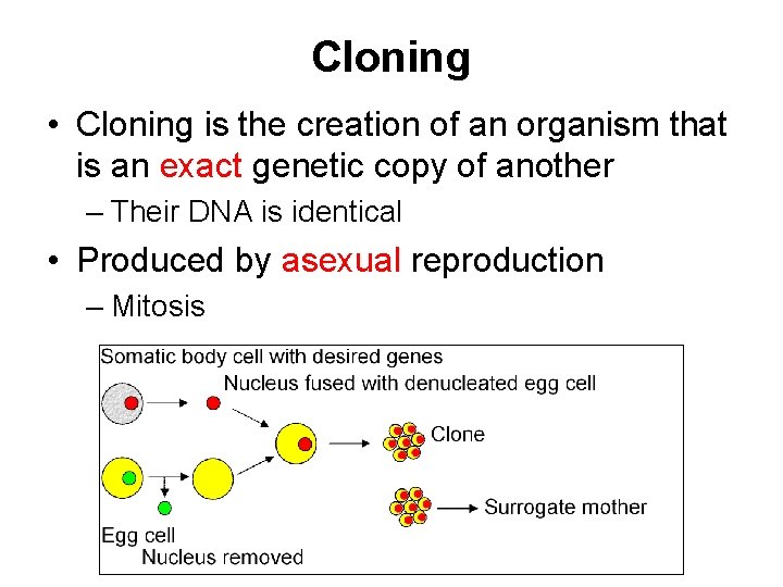 Cloning • Cloning is the creation of an organism that is an exact genetic