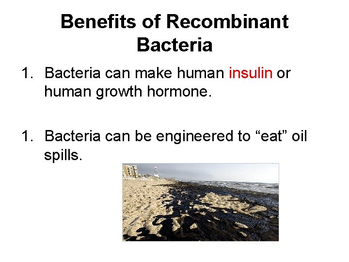 Benefits of Recombinant Bacteria 1. Bacteria can make human insulin or human growth hormone.