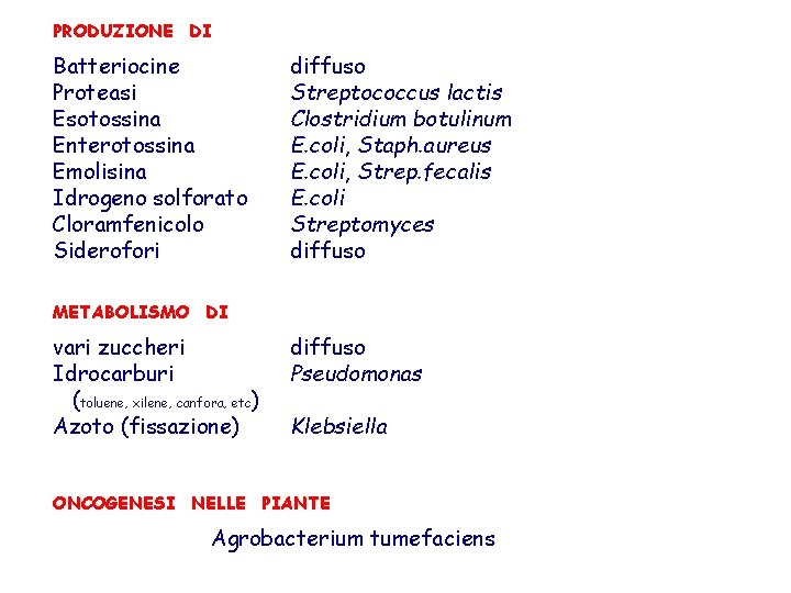 PRODUZIONE DI Batteriocine Proteasi Esotossina Enterotossina Emolisina Idrogeno solforato Cloramfenicolo Siderofori diffuso Streptococcus lactis