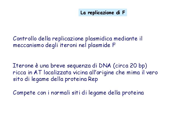 La replicazione di F Controllo della replicazione plasmidica mediante il meccanismo degli iteroni nel