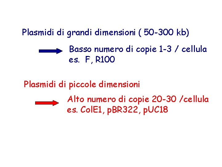 Plasmidi di grandi dimensioni ( 50 -300 kb) Basso numero di copie 1 -3