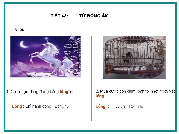 TIẾT 43: TỪ ĐỒNG M VÍ DỤ: 1. Con ngựa đang đứng bỗng lồng
