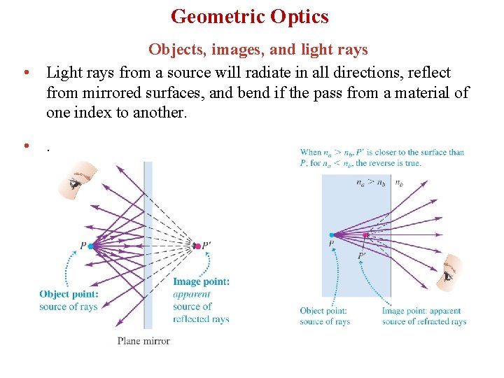 Geometric Optics Objects, images, and light rays • Light rays from a source will