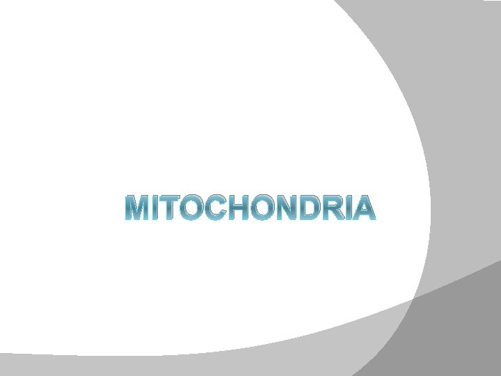 MITOCHONDRIA 1 