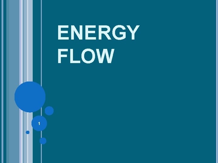 ENERGY FLOW 1 