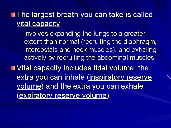 The largest breath you can take is called vital capacity – involves expanding the The largest breath you can take is called vital capacity – involves expanding the