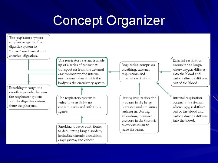 Concept Organizer Concept Organizer