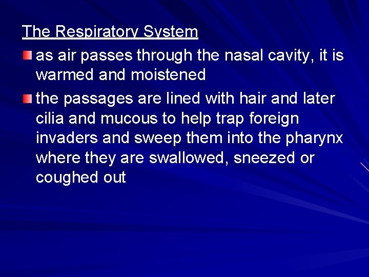 The Respiratory System as air passes through the nasal cavity, it is warmed and The Respiratory System as air passes through the nasal cavity, it is warmed and