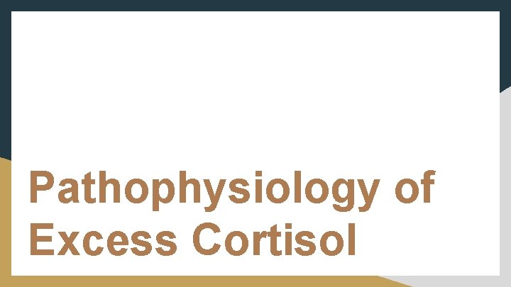 Pathophysiology of Excess Cortisol 