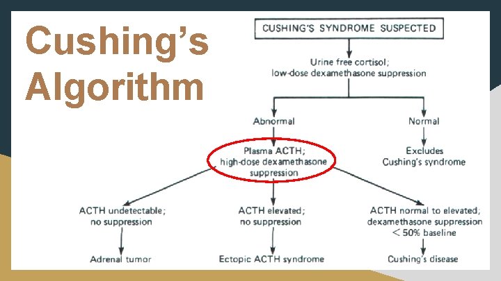 Cushing’s Algorithm 