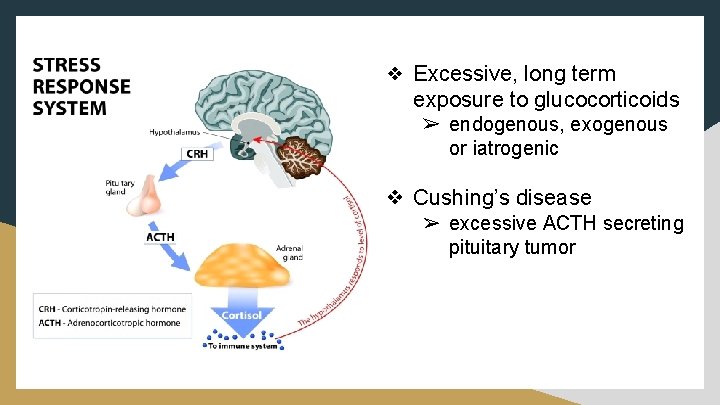 ❖ Excessive, long term exposure to glucocorticoids ➢ endogenous, exogenous or iatrogenic ❖ Cushing’s