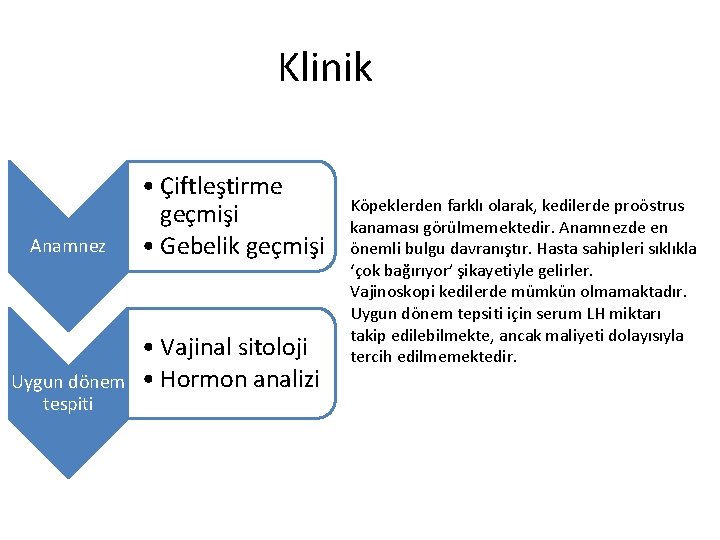 Klinik Anamnez Uygun dönem tespiti • Çiftleştirme geçmişi • Gebelik geçmişi • Vajinal sitoloji