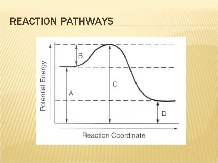 REACTION PATHWAYS 