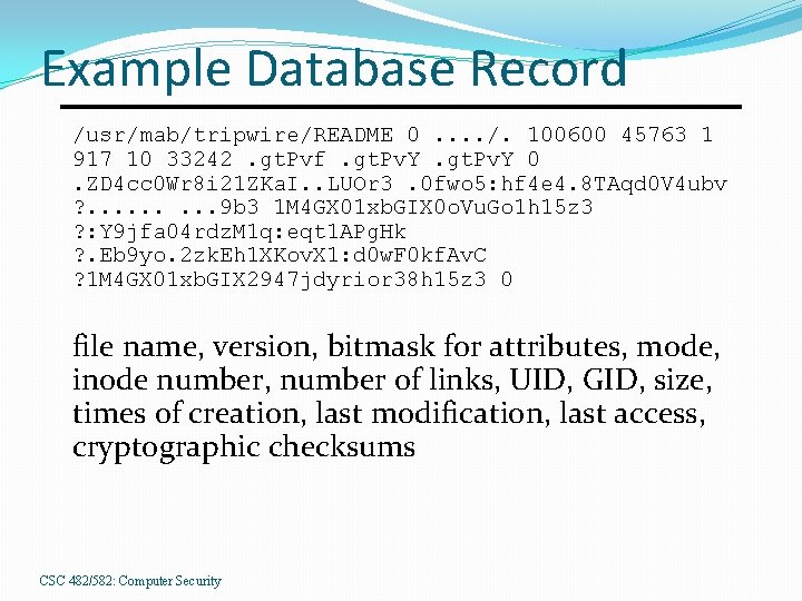 Example Database Record /usr/mab/tripwire/README 0. . /. 100600 45763 1 917 10 33242. gt.