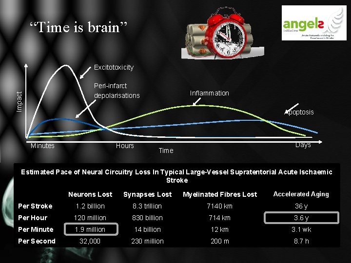 “Time is brain” Excitotoxicity Impact Peri-infarct depolarisations Inflammation Apoptosis Hours Minutes Days Time Estimated “Time is brain” Excitotoxicity Impact Peri-infarct depolarisations Inflammation Apoptosis Hours Minutes Days Time Estimated