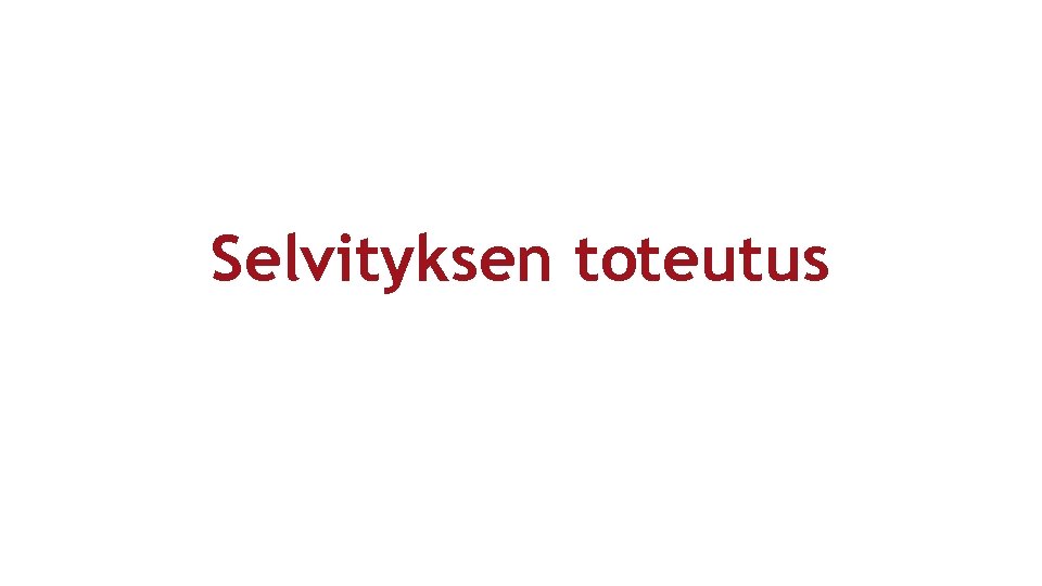 Selvityksen toteutus 