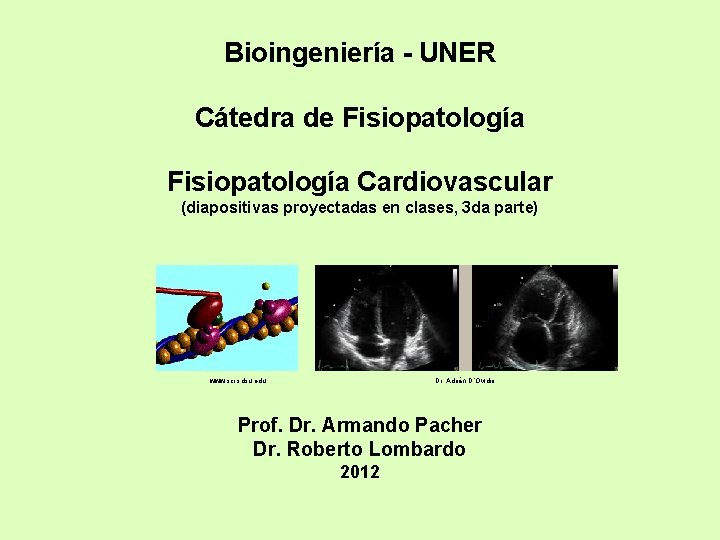 Bioingeniería - UNER Cátedra de Fisiopatología Cardiovascular (diapositivas proyectadas en clases, 3 da parte)