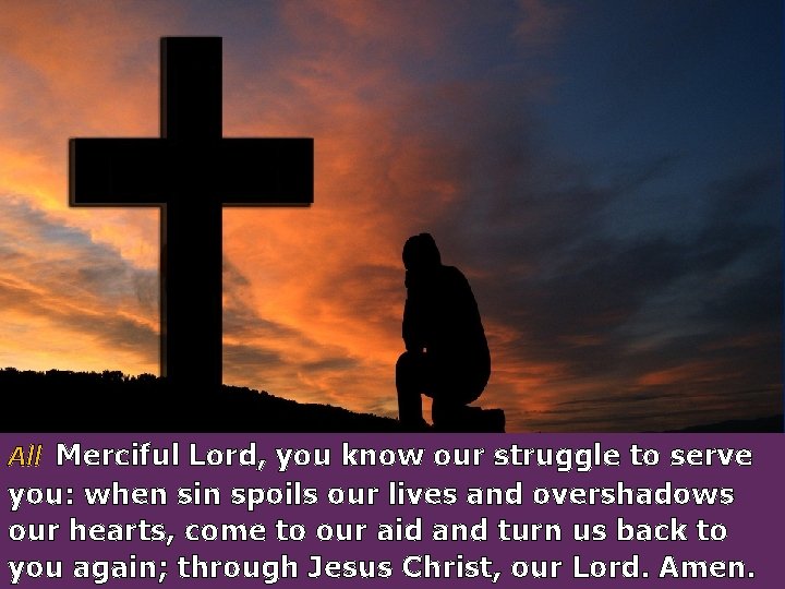 All Merciful Lord, you know our struggle to serve you: when sin spoils our