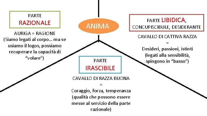 PARTE RAZIONALE AURIGA = RAGIONE (Siamo legati al corpo… ma se usiamo il logos,