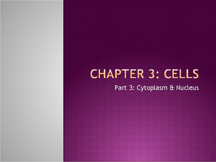 Part 3: Cytoplasm & Nucleus 