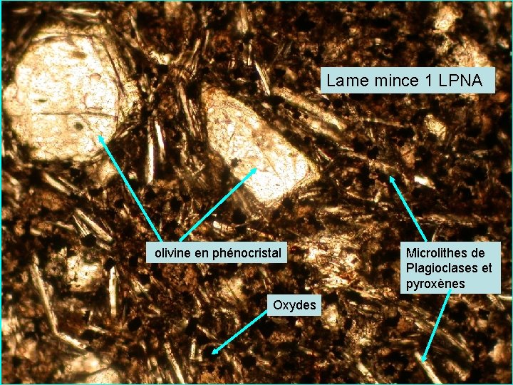 Lame mince 1 LPNA olivine en phénocristal Oxydes Microlithes de Plagioclases et pyroxènes 