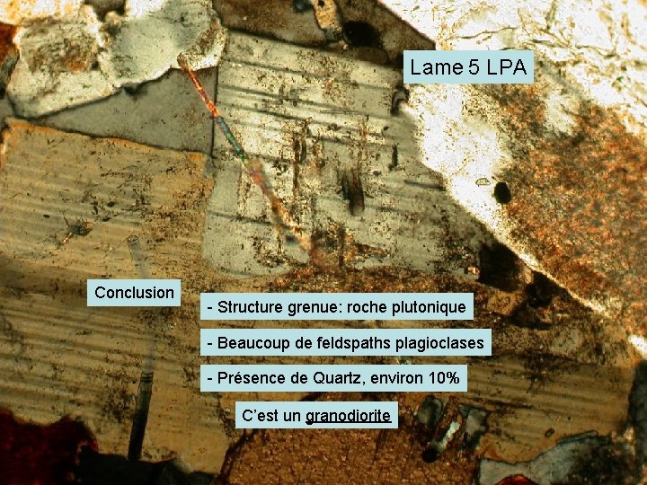 Lame 5 LPA Conclusion - Structure grenue: roche plutonique - Beaucoup de feldspaths plagioclases