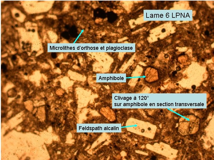 Lame 6 LPNA Microlithes d’orthose et plagioclase Amphibole Clivage à 120° sur amphibole en