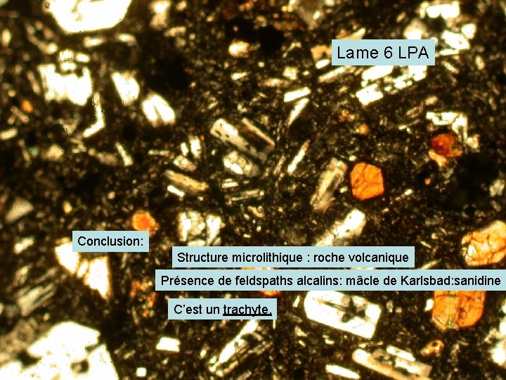 Lame 6 LPA Conclusion: Structure microlithique : roche volcanique Présence de feldspaths alcalins: mâcle