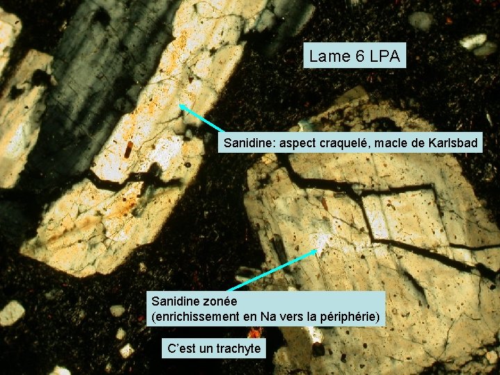 Lame 6 LPA Sanidine: aspect craquelé, macle de Karlsbad Sanidine zonée (enrichissement en Na