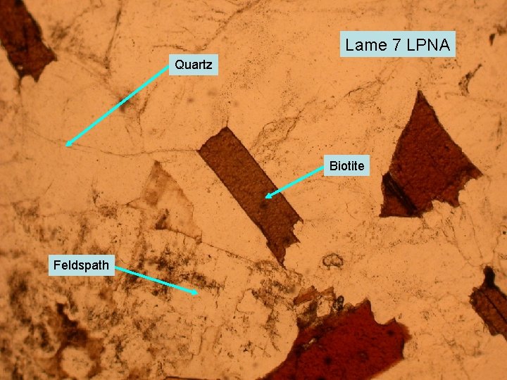 Lame 7 LPNA Quartz Biotite Feldspath 