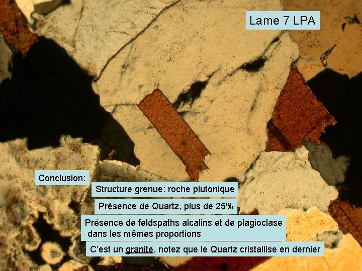 Lame 7 LPA Conclusion: Structure grenue: roche plutonique Présence de Quartz, plus de 25%