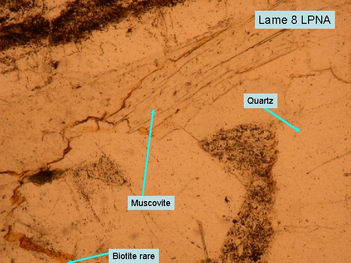 Lame 8 LPNA Quartz Muscovite Biotite rare 