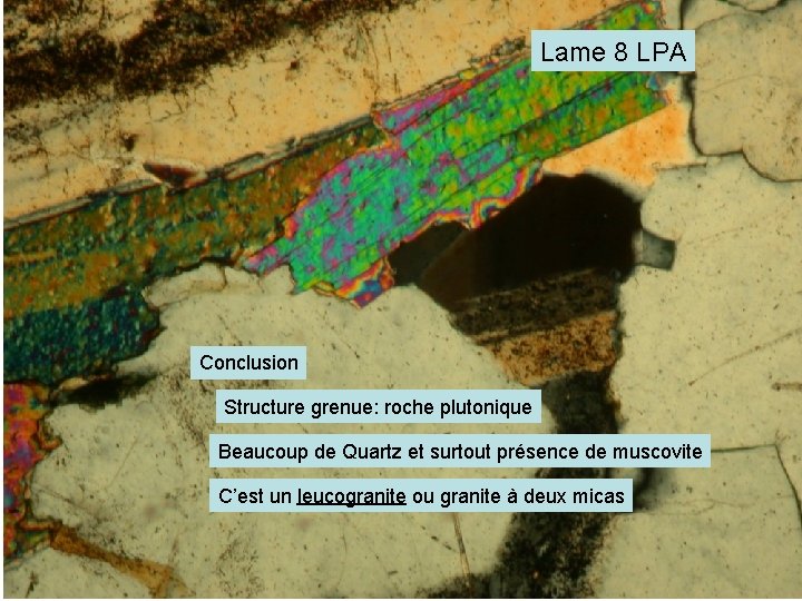 Lame 8 LPA Conclusion Structure grenue: roche plutonique Beaucoup de Quartz et surtout présence