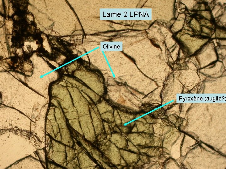 Lame 2 LPNA Olivine Pyroxène (augite? ) 