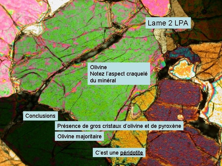 Lame 2 LPA Olivine Notez l’aspect craquelé du minéral Conclusions Présence de gros cristaux