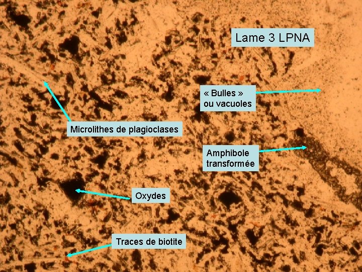 Lame 3 LPNA « Bulles » ou vacuoles Microlithes de plagioclases Amphibole transformée Oxydes