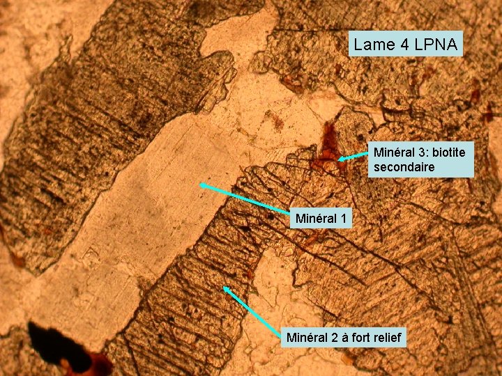 Lame 4 LPNA Minéral 3: biotite secondaire Minéral 1 Minéral 2 à fort relief