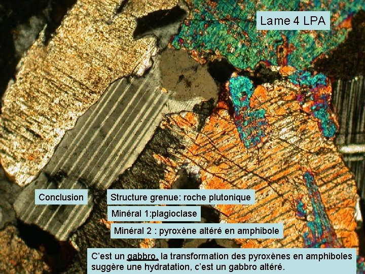 Lame 4 LPA Conclusion Structure grenue: roche plutonique Minéral 1: plagioclase Minéral 2 :