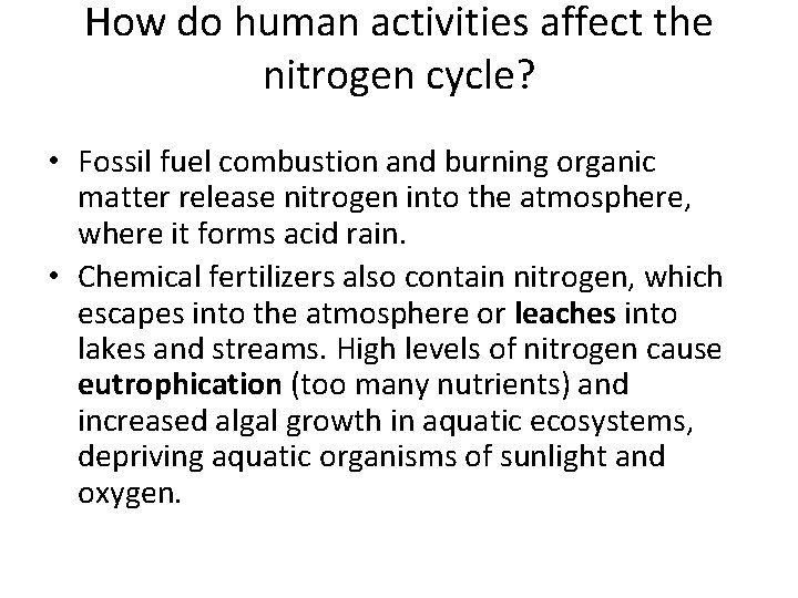 How do human activities affect the nitrogen cycle? • Fossil fuel combustion and burning