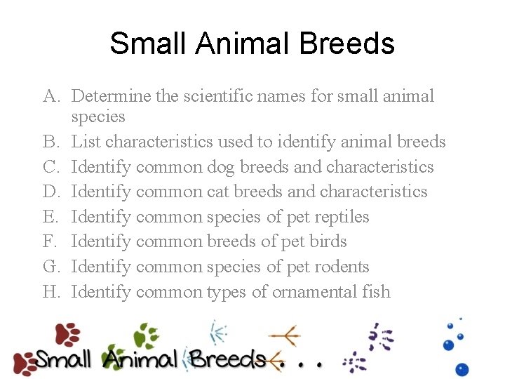 Small Animal Breeds A. Determine the scientific names for small animal species B. List