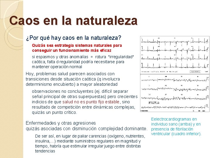 Caos en la naturaleza ¿Por qué hay caos en la naturaleza? Quizás sea estrategia