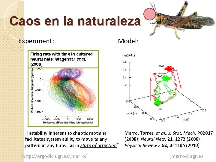 Caos en la naturaleza Experiment: Model: Firing rate with time in cultured neural nets;