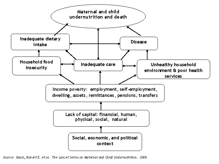 Maternal and child undernutrition and death Inadequate dietary intake Household food insecurity Disease Inadequate