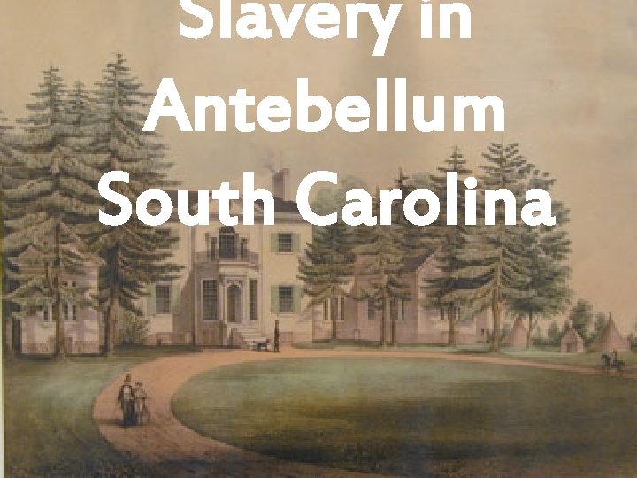 Slavery in Antebellum South Carolina 