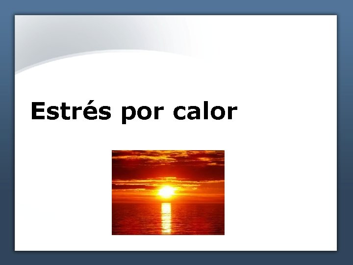 Estrés por calor 