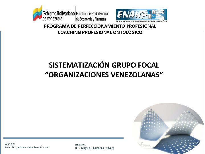 PROGRAMA DE PERFECCIONAMIENTO PROFESIONAL COACHING PROFESIONAL ONTOLÓGICO SISTEMATIZACIÓN GRUPO FOCAL “ORGANIZACIONES VENEZOLANAS” Autor: Participantes