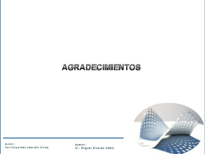 AGRADECIMIENTOS Autor: Participantes sección Única Asesor: Dr. Miguel Álvarez Cádiz 